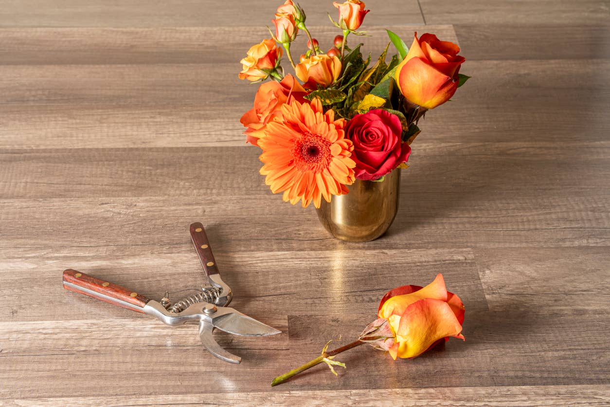 Verve Culture - Thai kjøkken- og hagesaks